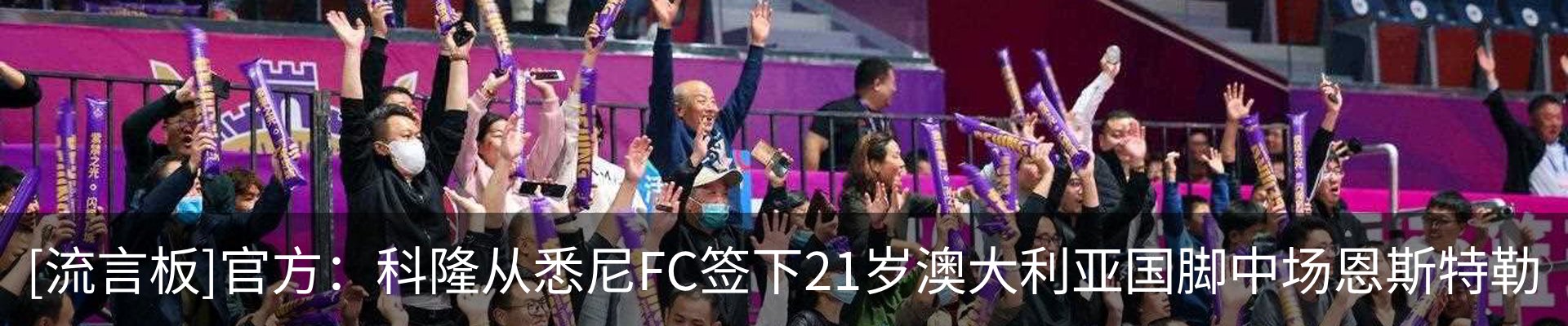 最新动态
